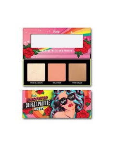 PALETA DE CONTORNOS RUBOR E...