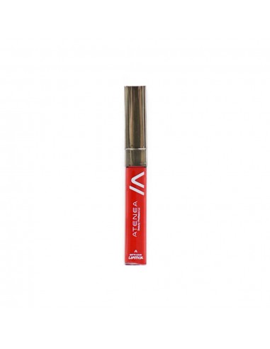 MATTE LIQUID LIPSTICK 4