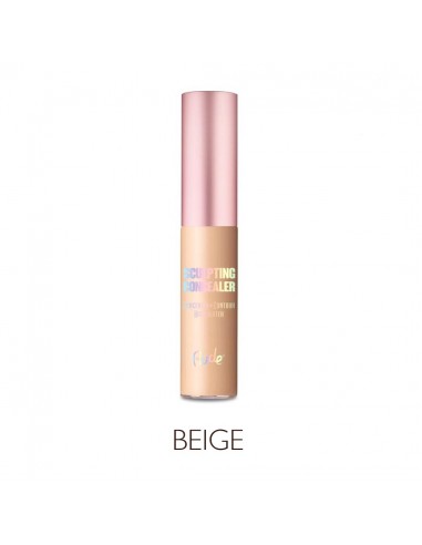SCULPTING CORRECTOR