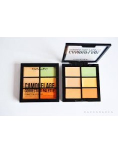 CAMOUFLAGE CORRECTING PALETTE